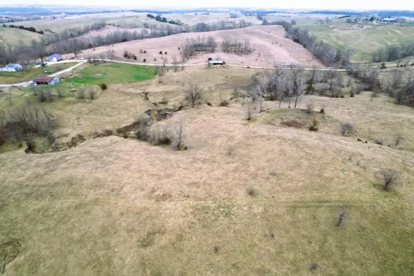 Milan, MO 63560,133.7 AC Kemper RD