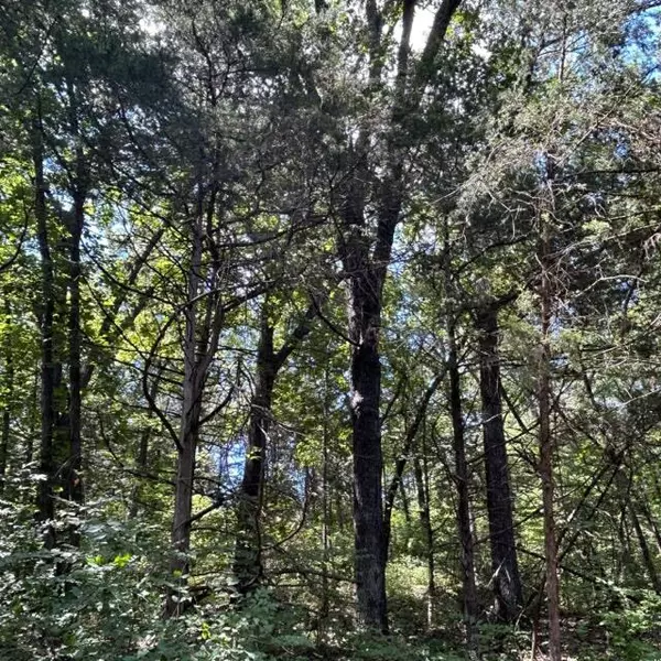 Tebbetts, MO 65080,Lot 6 county rd 4014