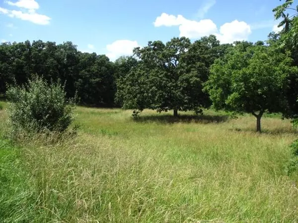 Centralia, MO 65240,10.65/AC N Hwy jay jay, tract 4