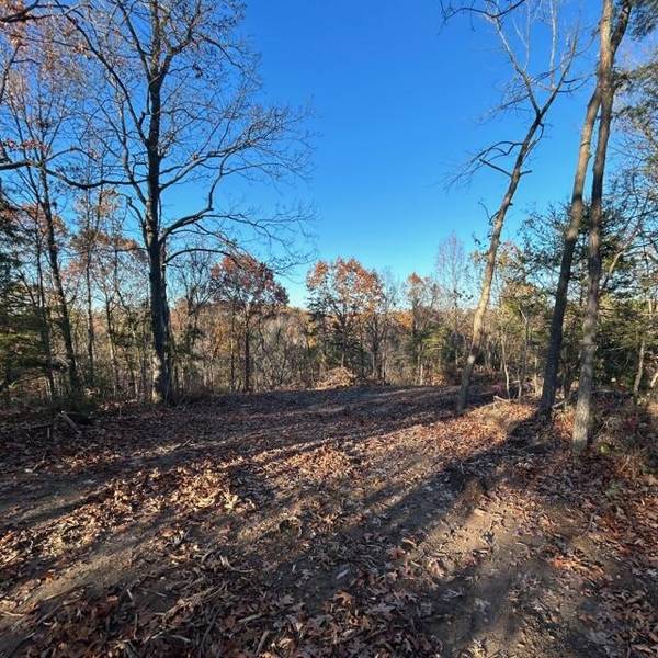 LOT 3 East cedar tree lane, Hartsburg, MO 65039