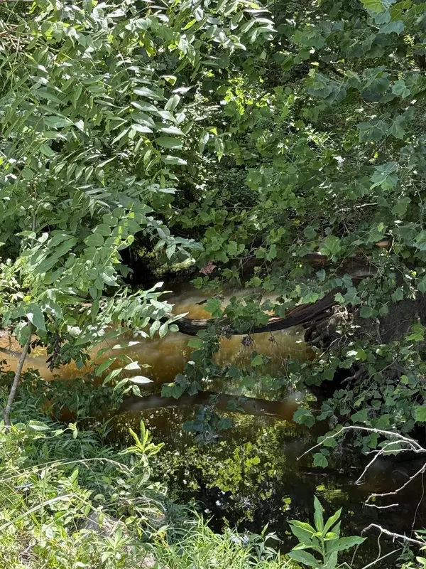 Columbia, MO 65201,47.69 acres e sugar grove RD