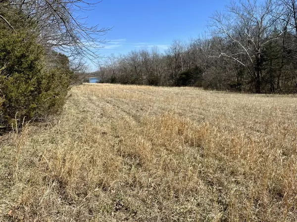 California, MO 65018,TBD Connor RD