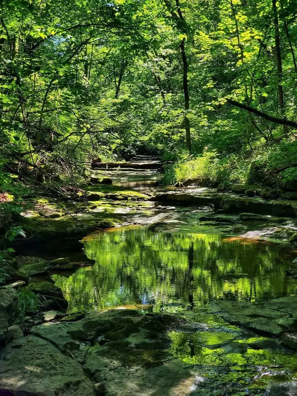 Ashland, MO 65010,6124 E Forsee RD