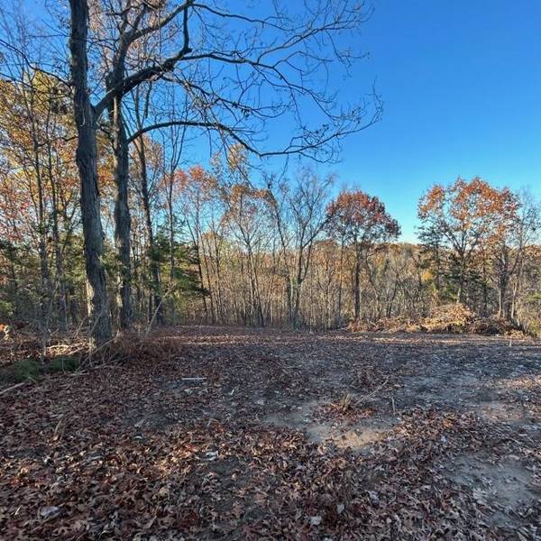 LOT 3 Cedar tree lane, Hartsburg, MO 65039