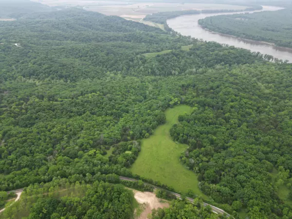 E Cedar tree LN, Hartsburg, MO 65039