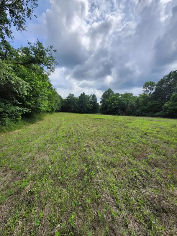 Sturgeon, MO 65284,TRACT 6 E Mchatton RD