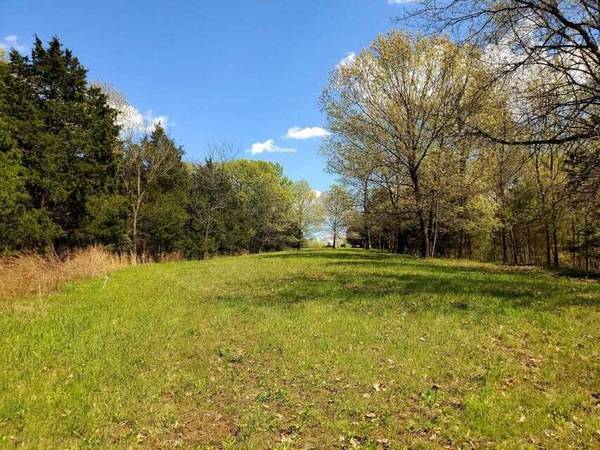 10.7 ACRES S. mount pleasant rd, Hartsburg, MO 65010