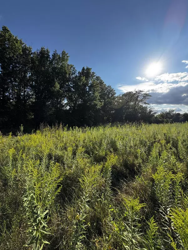 Clark, MO 65243,LOT 4 County road 2793