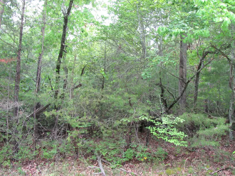 40 Holly LN, Fairfield Glade, TN 38558
