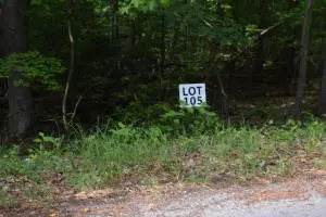 Ten Mile, TN 37880,Lot 105 Treasure Tree Rd