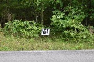 Lot 106 Treasure Tree Rd, Ten Mile, TN 37880