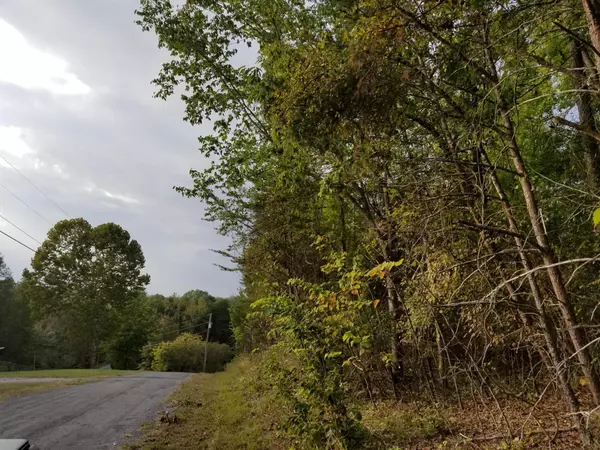 Spring City, TN 37381,Lot 50 Key Cove Road Rd