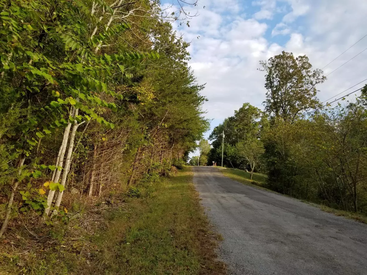 Spring City, TN 37381,Lot 50 Key Cove Road Rd