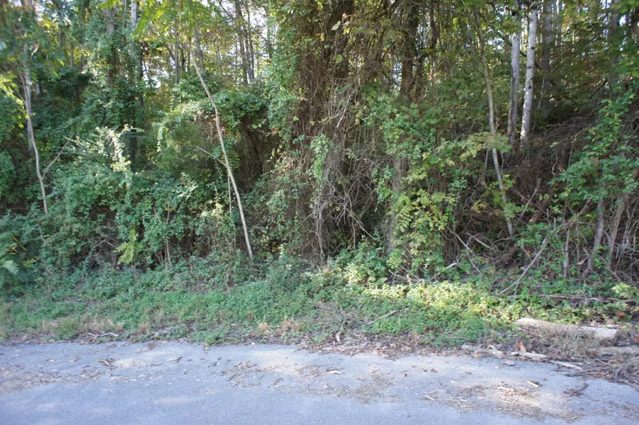 Lot 17 Baker CIR, Maynardville, TN 37807