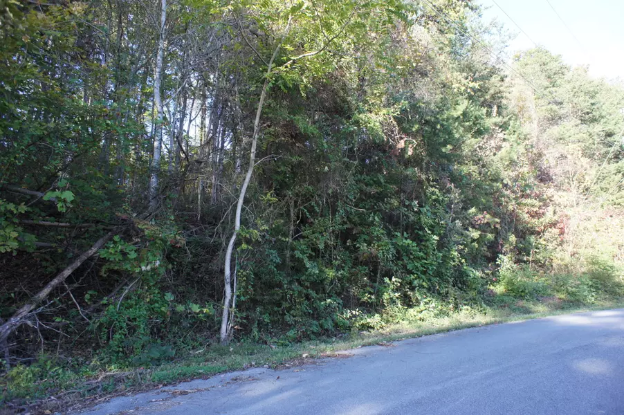 Lot 18 Baker CIR, Maynardville, TN 37807