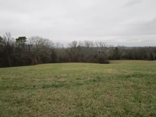 Blaine, TN 37709,Lot 8 Richland Rd