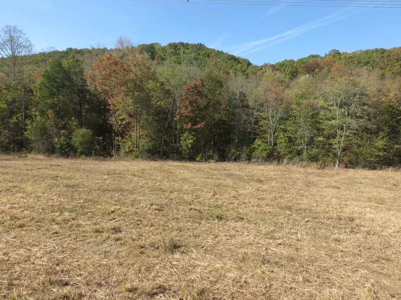 N No Pone Valley Road, Decatur, TN 37322