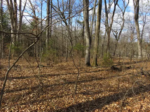 Loudon, TN 37774,Mialaquo Circle,  Lot 8