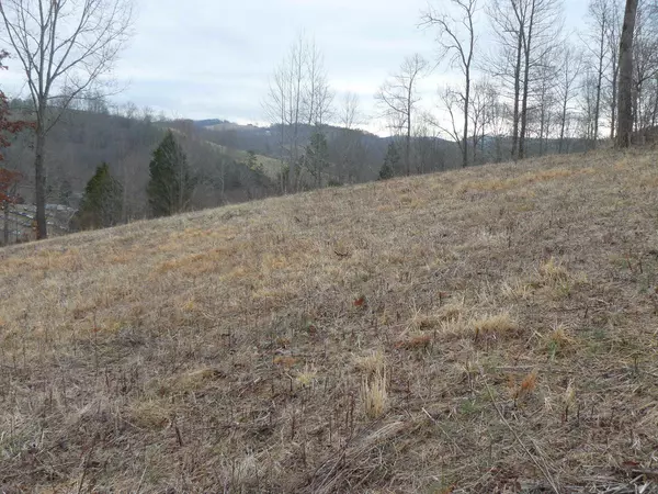 Lot 55 Cingular DR, New Tazewell, TN 37825