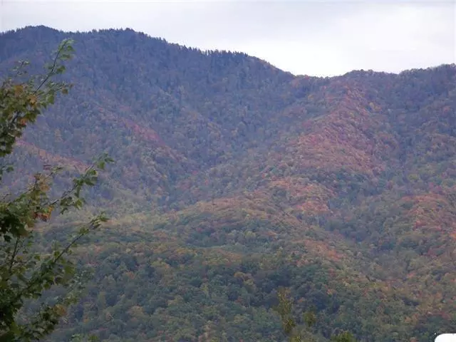 00 Scenic Trail, Gatlinburg, TN 37738