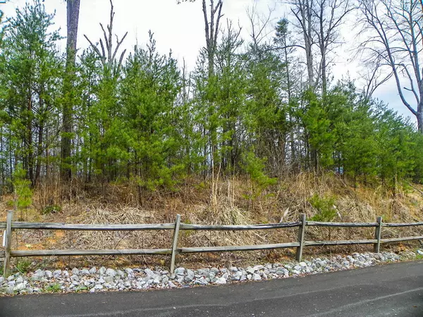 Lot# 6 Shadyview Ridge Road, Sevierville, TN 37876