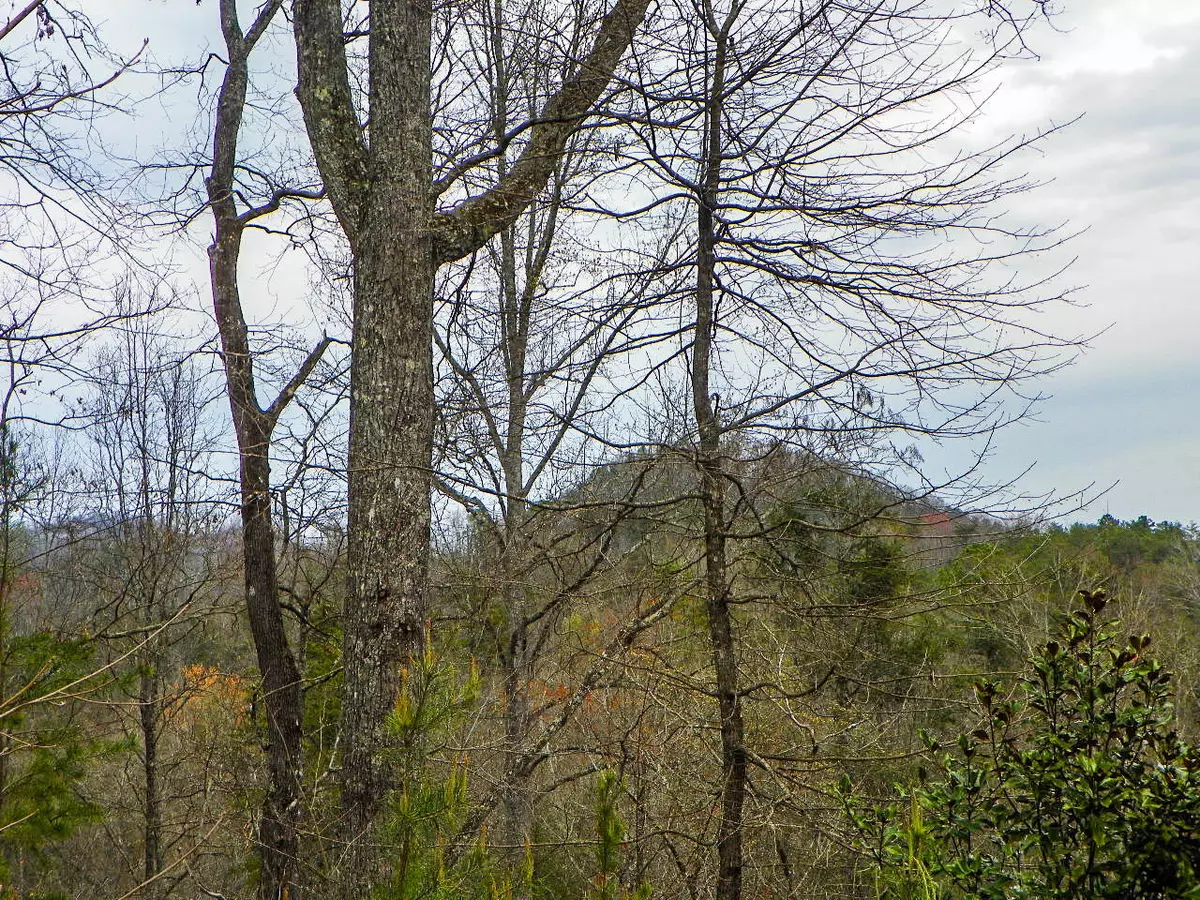 Sevierville, TN 37876,Lot# 2 Shadyview Ridge Road