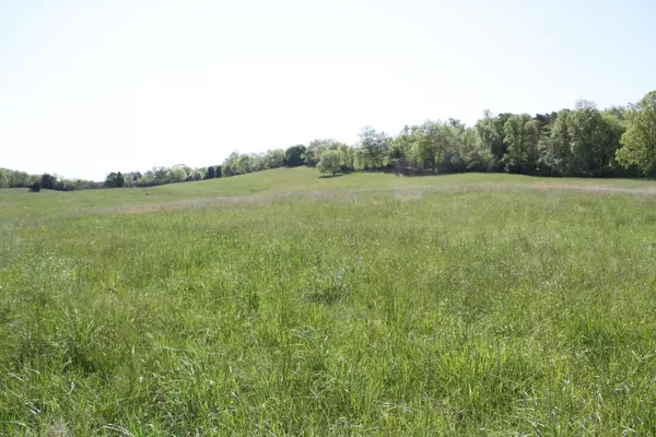 Loudon, TN 37774,46.62 Acre Vonore Rd