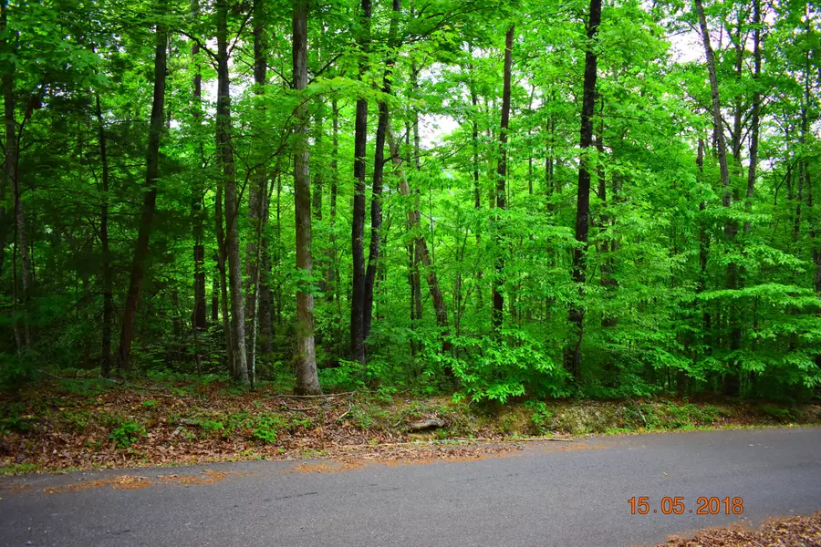 Hatcher Mountain Rd, Sevierville, TN 37862
