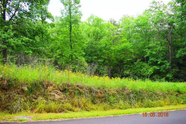 Sevierville, TN 37862,Hatcher Mountain Rd