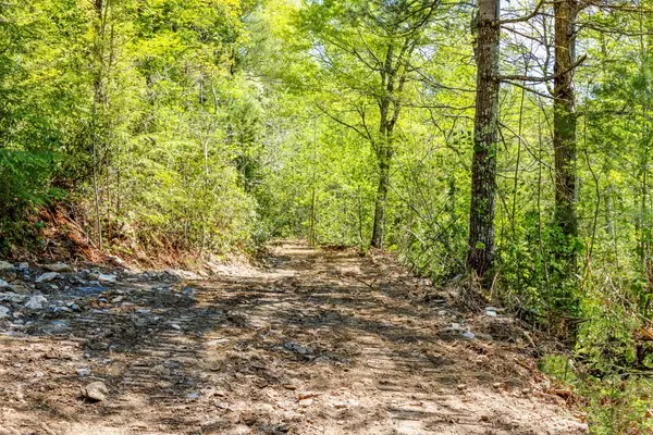 Tellico Plains, TN 37385,00 Lower Smithfield Rd