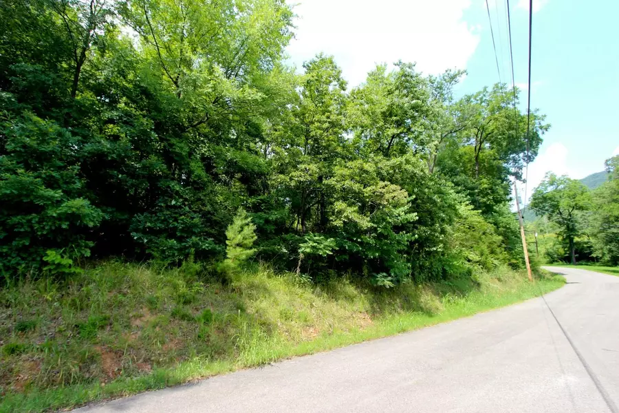 Lot 1 Tomahawk DR, Cosby, TN 37722