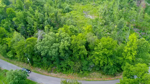 Lot 2 Tomahawk DR, Cosby, TN 37722