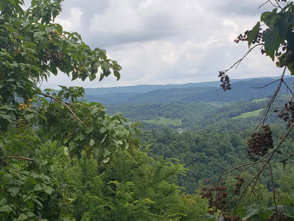 New Tazewell, TN 37825,Lot 652 Chimney Rock Rd