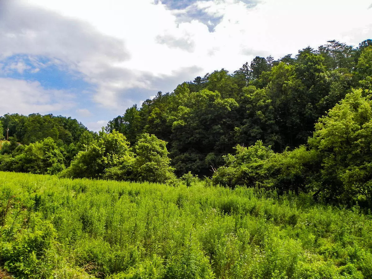 Sevierville, TN 37876,26.36 Acre Jones Cove Road