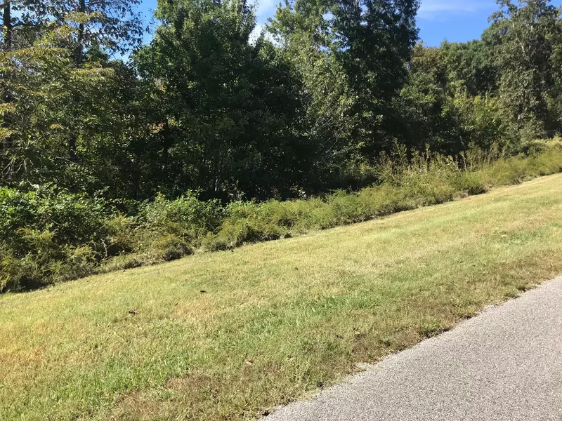 Lot 384 Thief Neck View DR, Rockwood, TN 37854