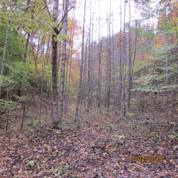 Fern Hollow Rd, Townsend, TN 37882