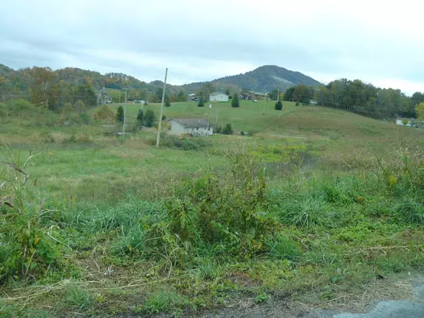 Tazewell, TN 37879,Lot 38 Cartwright CIR