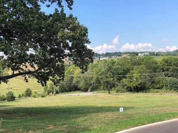 Dandridge, TN 37725,Lot 4-Fairway Drive