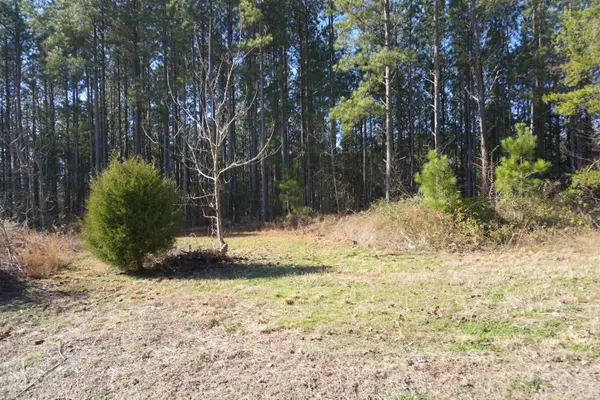 Overlook WAY, Vonore, TN 37885