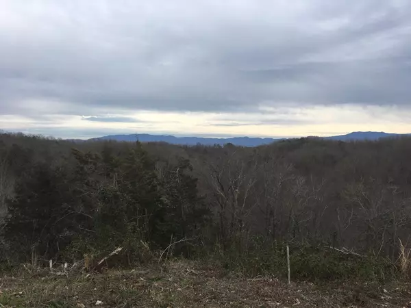 Sevierville, TN 37876,Lot 50 Mary Alice Way