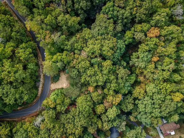 Pigeon Forge, TN 37863,12-C Monte Wood CIR