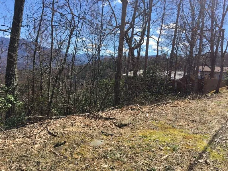 Luzerne Dr, Gatlinburg, TN 37738