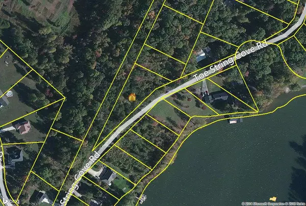 Lot 55 Toestring Cove Rd, Spring City, TN 37381