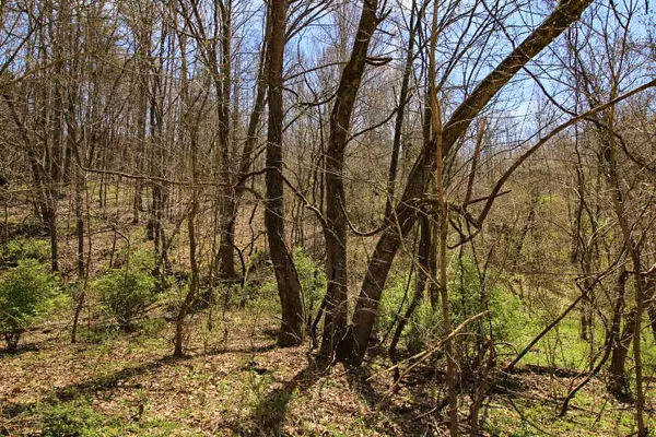 Maynardville, TN 37807,Lot 1 Chestnut Grove Rd