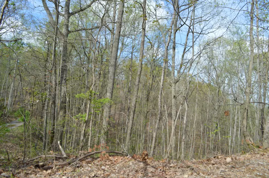 Lot 50 Estates DR, Seymour, TN 37865