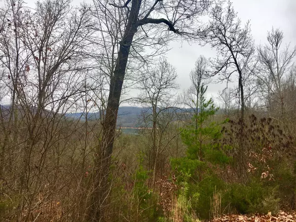 New Tazewell, TN 37825,Lot 238 Tanzanite