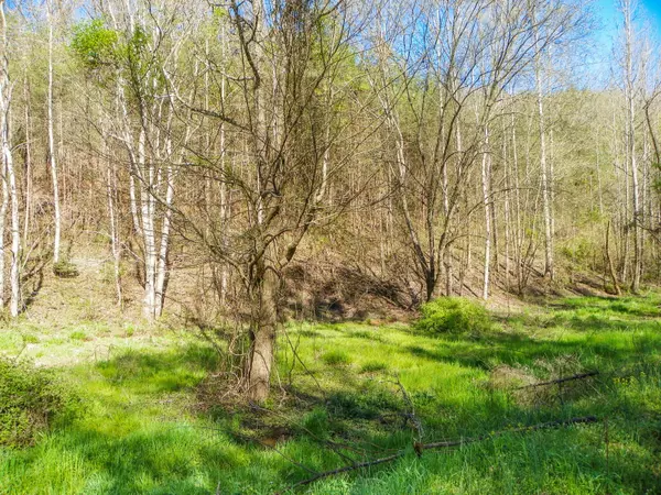 Lot# 20 Licking Spring WAY, Sevierville, TN 37876