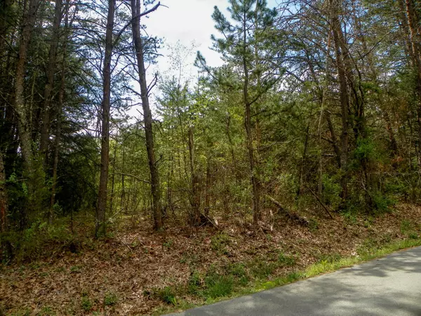 Sevierville, TN 37862,Lot# 17 Valley Woods DR