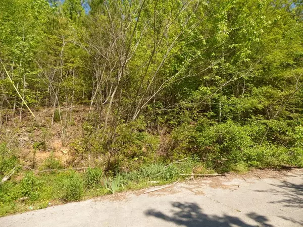 Spring City, TN 37381,Lot 17 Chestnut St