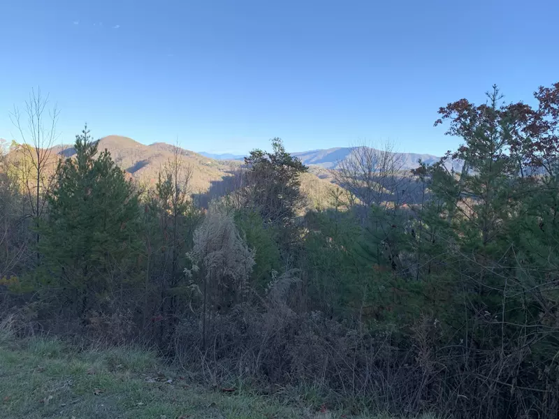 Lot 40w 4978 Long Rifle Rd, Walland, TN 37886